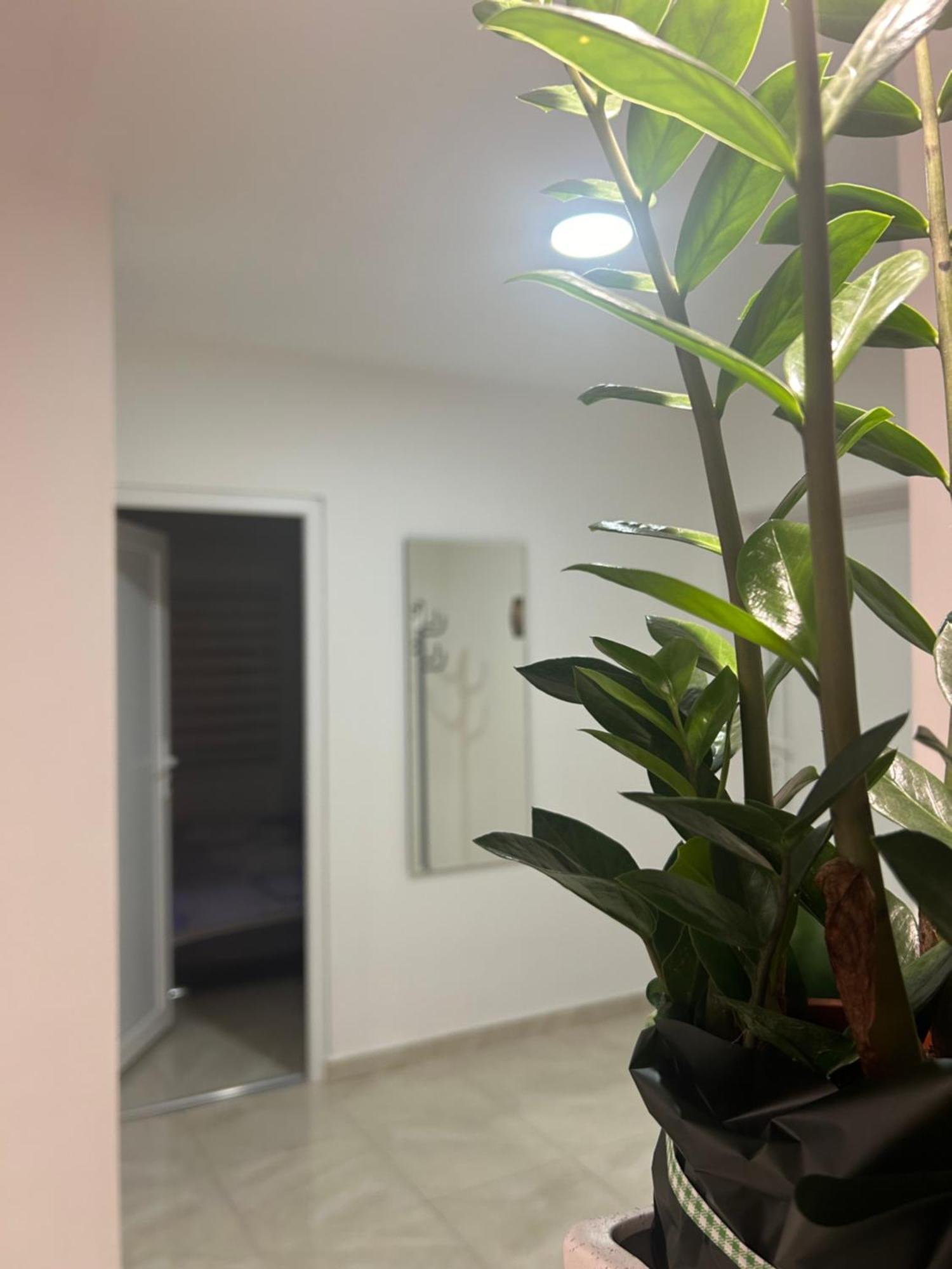 Apartman Diamond Lux Surčin Exteriör bild