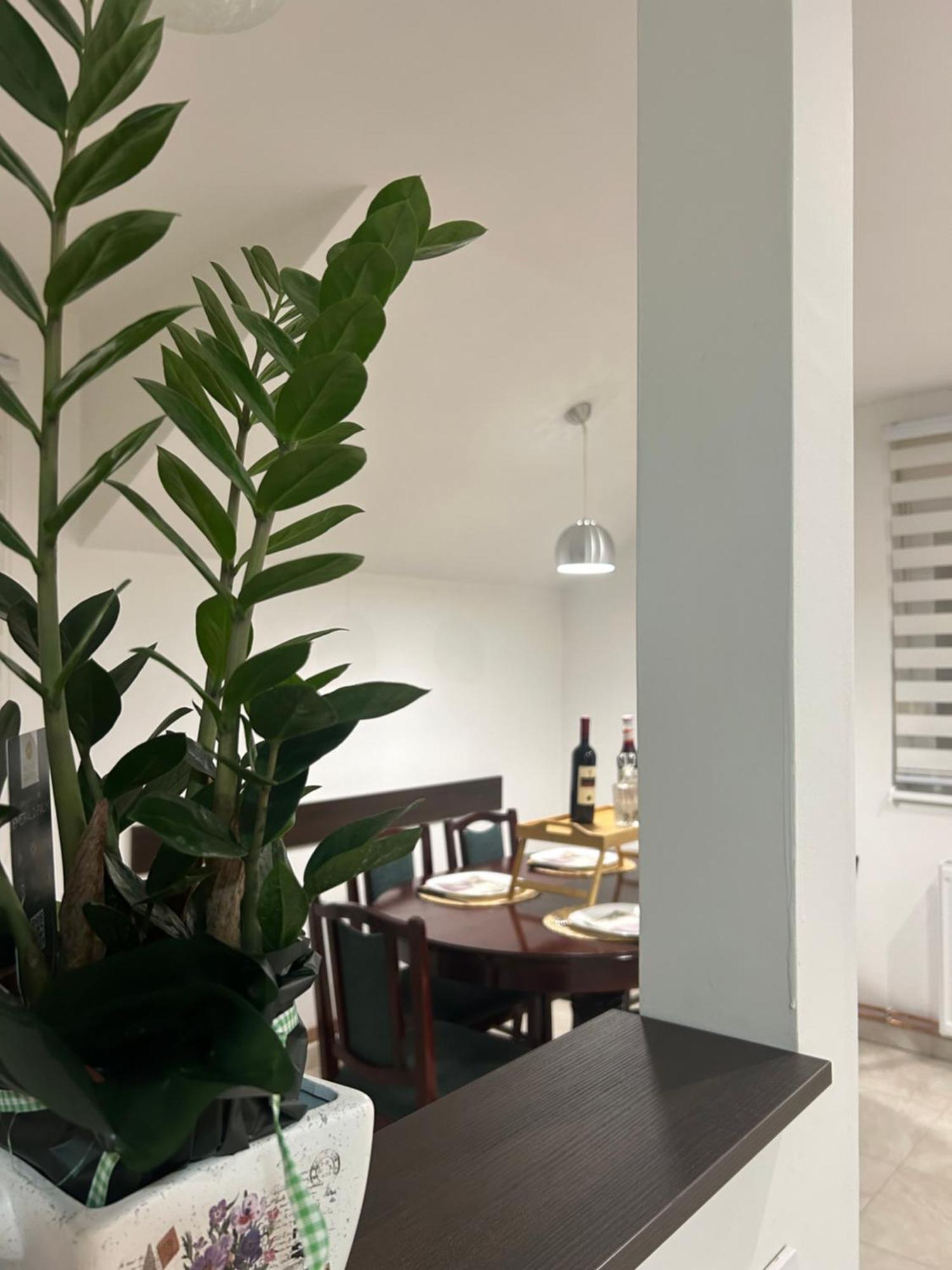Apartman Diamond Lux Surčin Exteriör bild
