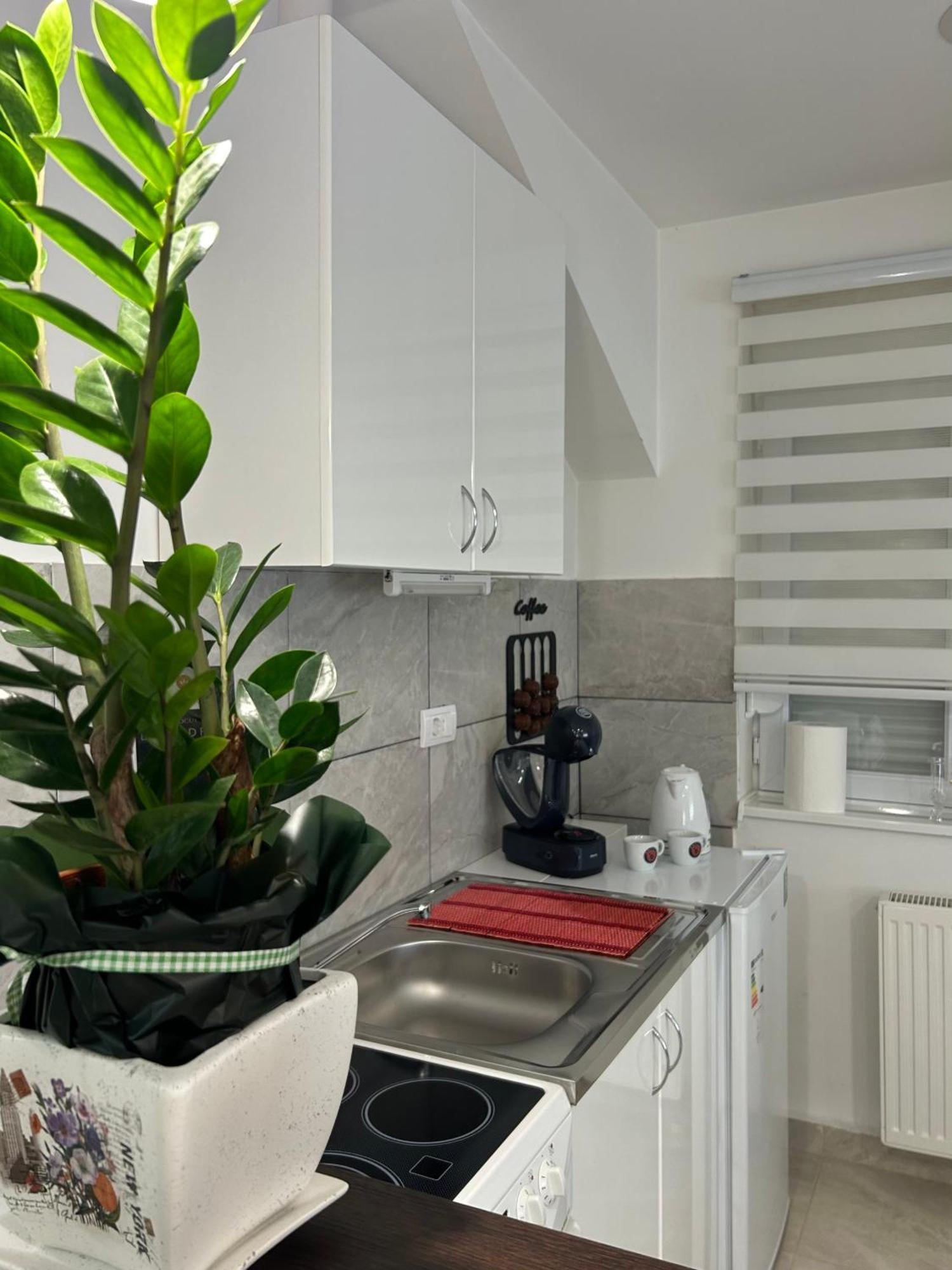 Apartman Diamond Lux Surčin Exteriör bild